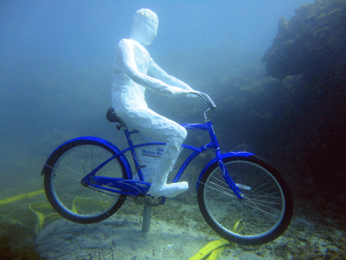 Island Water World and Troy Lewis' new Cyclist ...